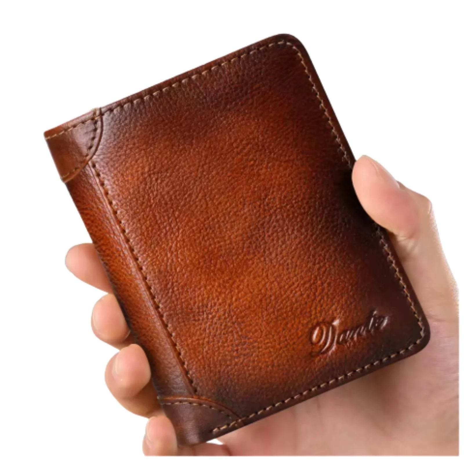 Celvera Maastricht - Holland Collectie